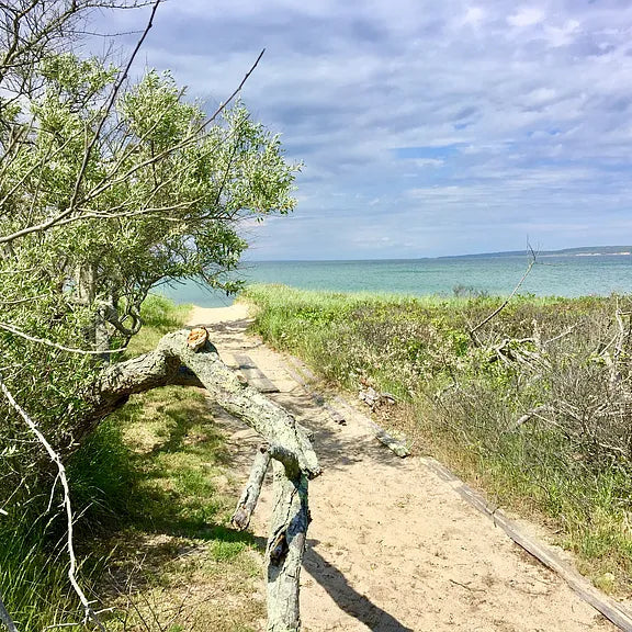 Aquinnah, Martha's Vineyard
