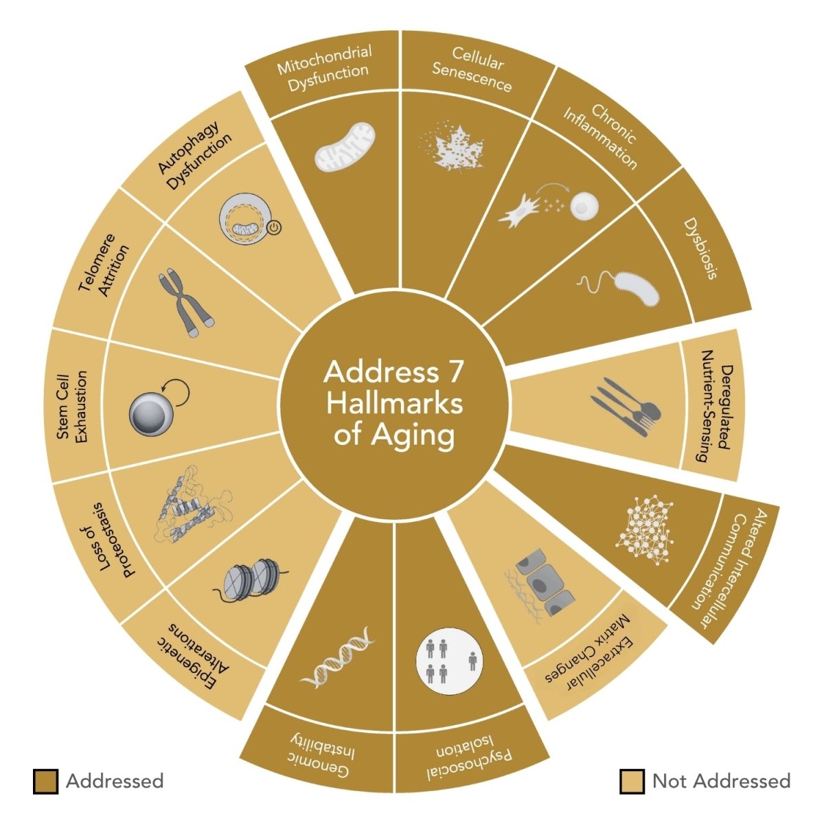 CLEANSE Food Supplement - Niance - Food Suplement - Aida Bicaj