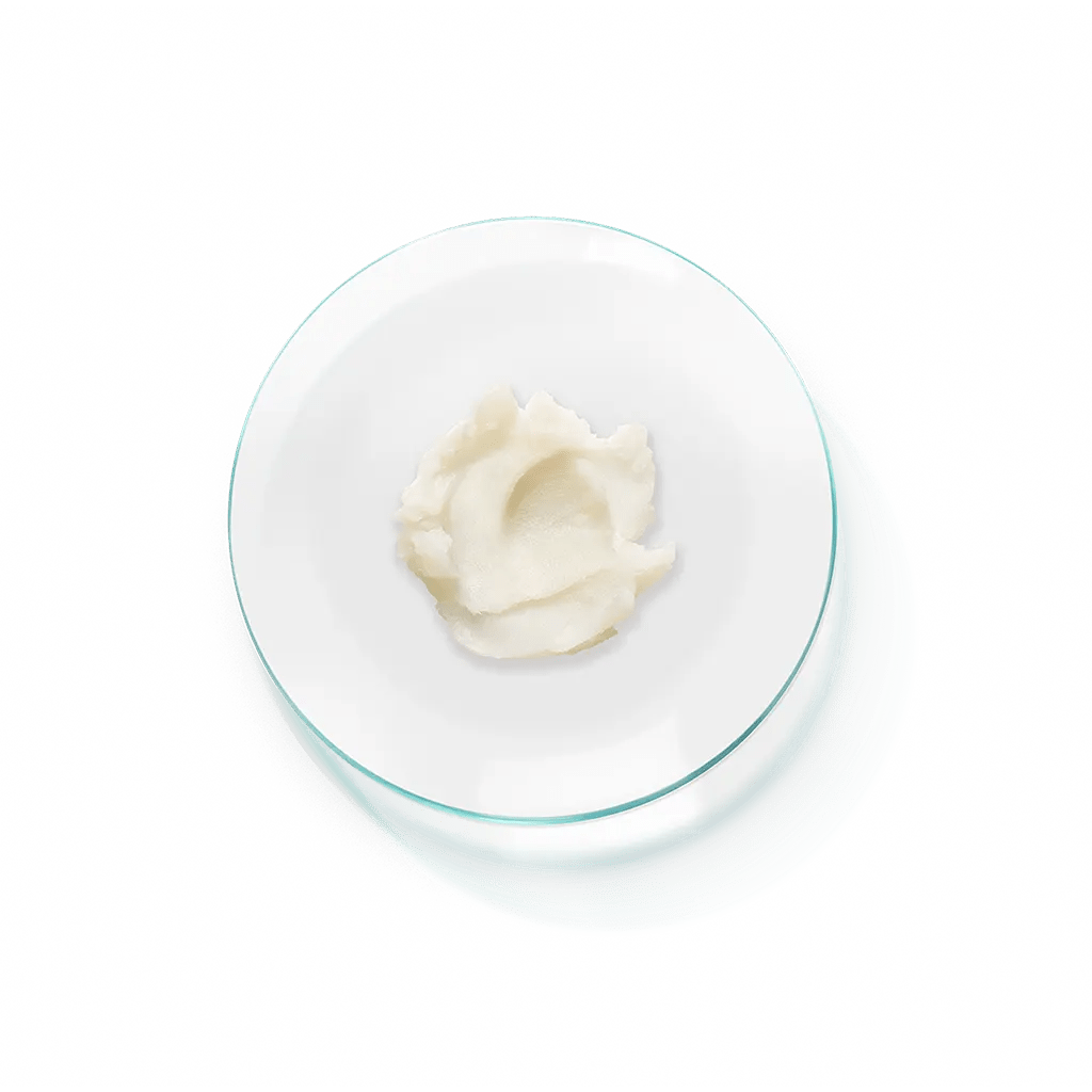 Cleanser 27 - Cosmetics 27 - Cleansers - Aida Bicaj