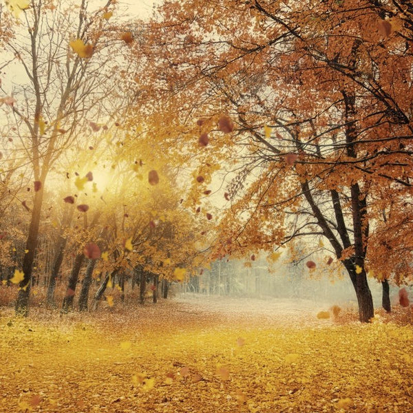 Moisturizing in Fall & Winter | Aida Bicaj
