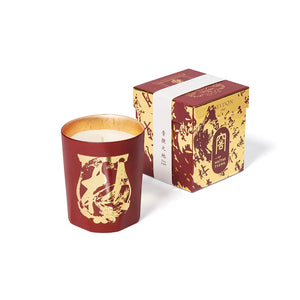 Terre a Terre - Deep Forest Scent Candle with Box - Trudon