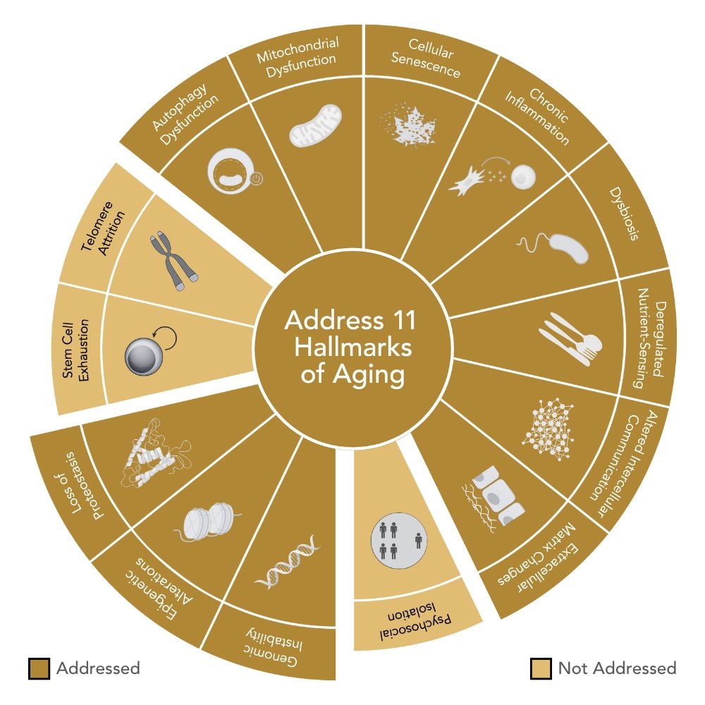 EPIGEN9™ Rejuvenating Mask - Niance - Masks - Aida Bicaj