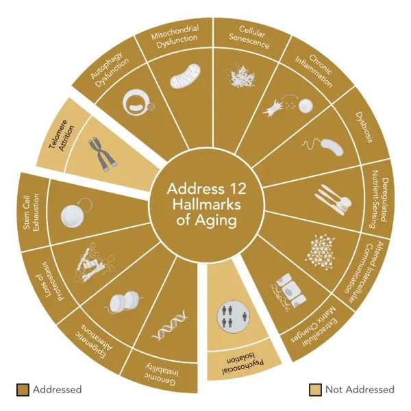 EPIGEN9™ Rejuvenating Serum - Niance - Serums - Aida Bicaj