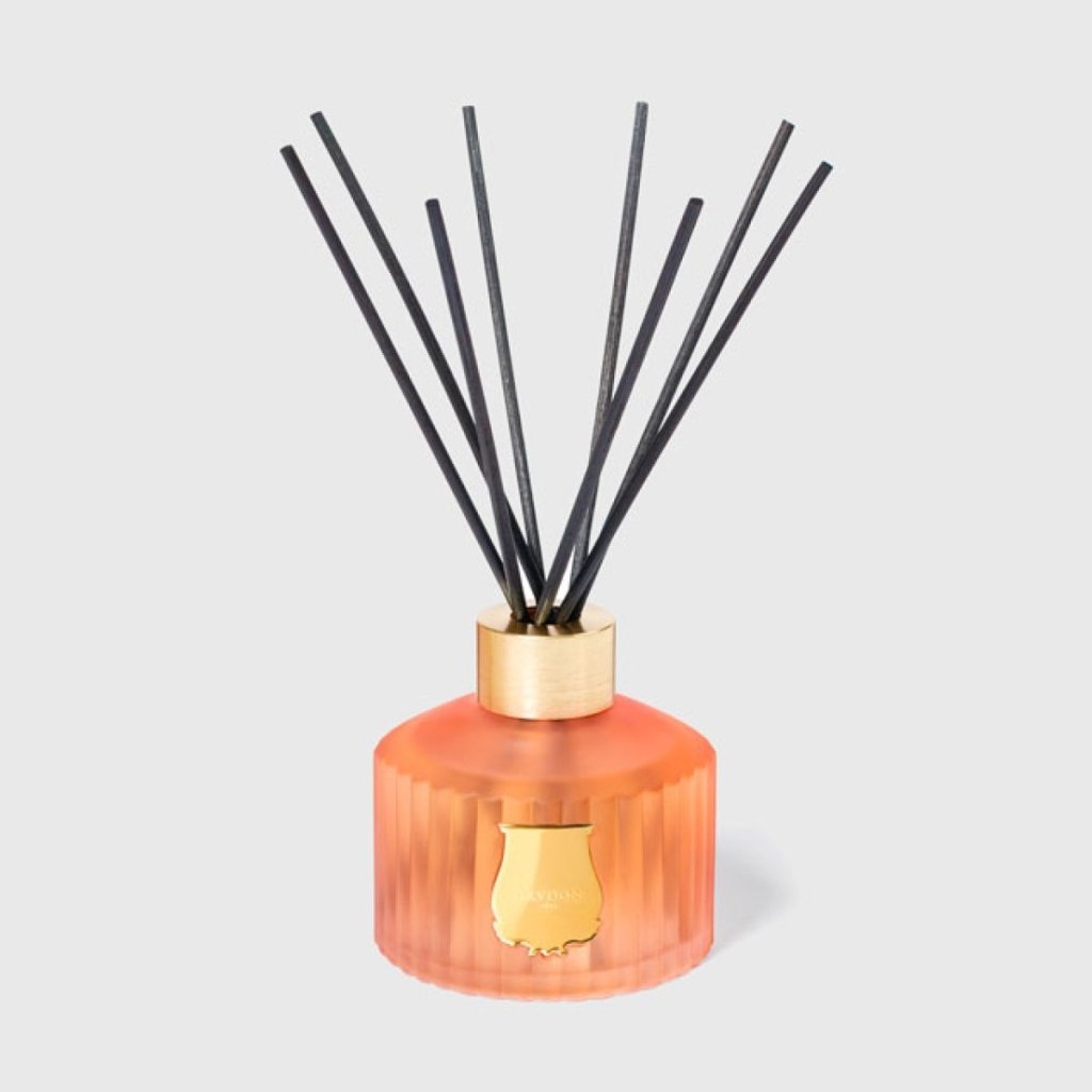 LE DIFFUSEUR TUILERIES - Trudon - Aida Bicaj