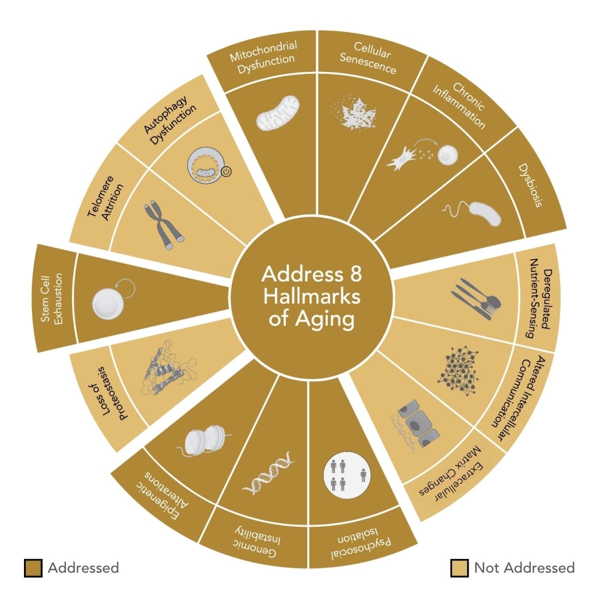 SLEEP Food Supplement - Niance - Food Suplement - Aida Bicaj
