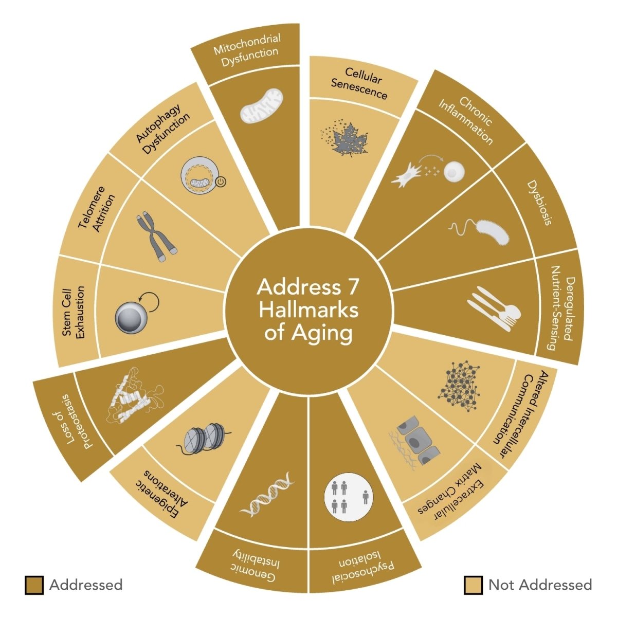 WEIGHT MANAGEMENT Food Supplement - Niance - Food Suplement - Aida Bicaj